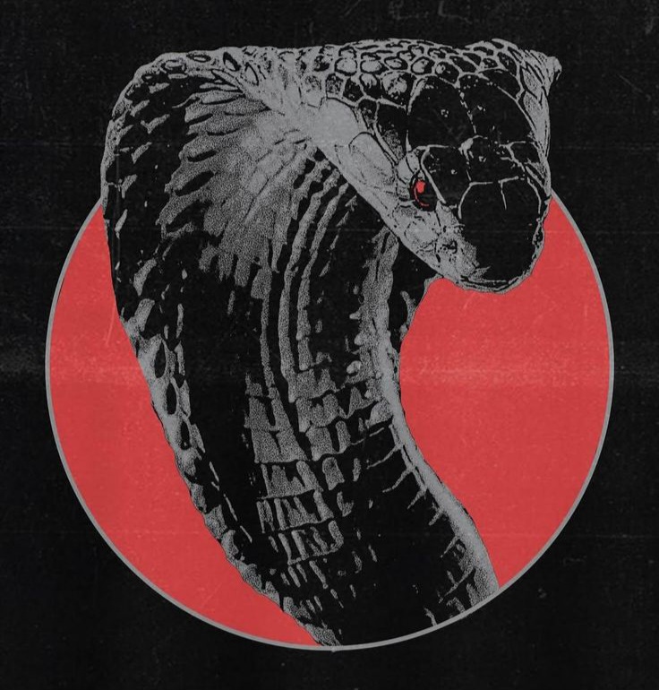 Logo Cobra